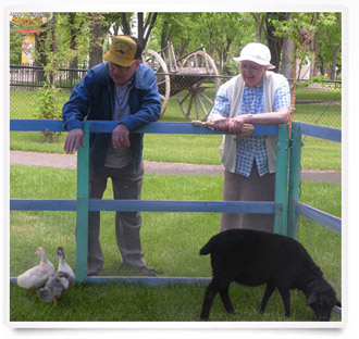 Residents enjoy a visit from a petting zoo 3